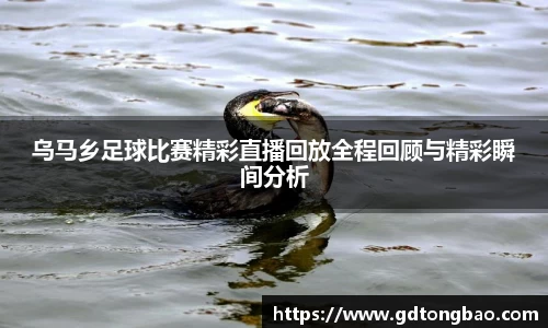 意昂体育在线